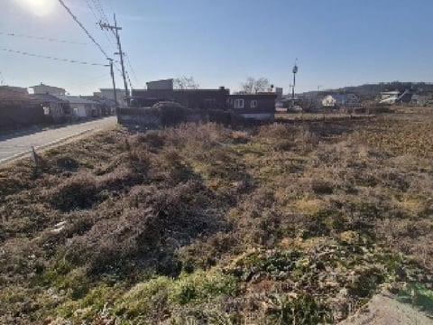 물건 사진 1