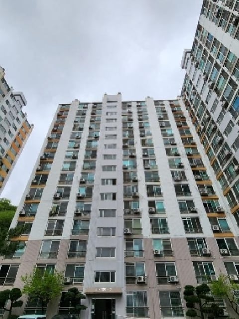 물건 사진 12