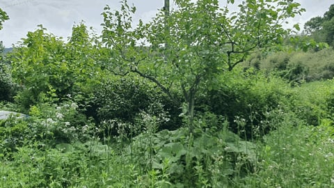 물건 사진 21