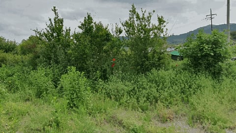 물건 사진 55
