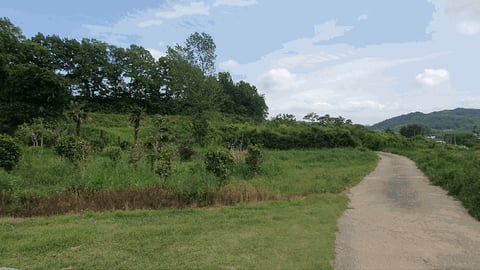 물건 사진 31