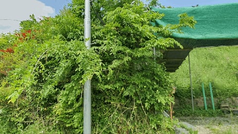 물건 사진 35