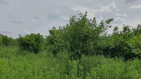 물건 사진 36