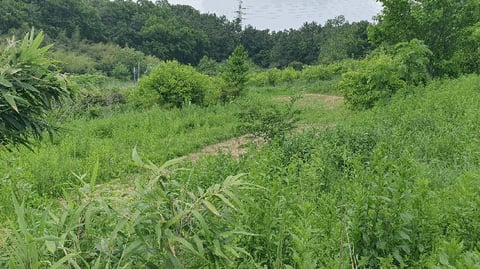 물건 사진 32