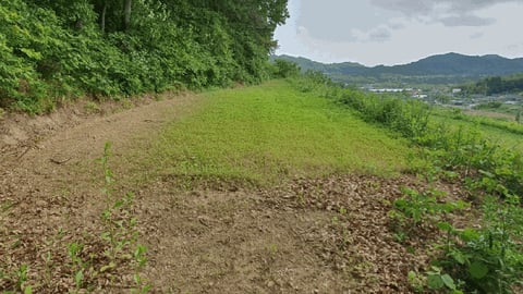 물건 사진 39