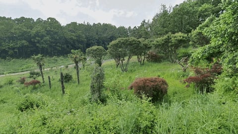물건 사진 50