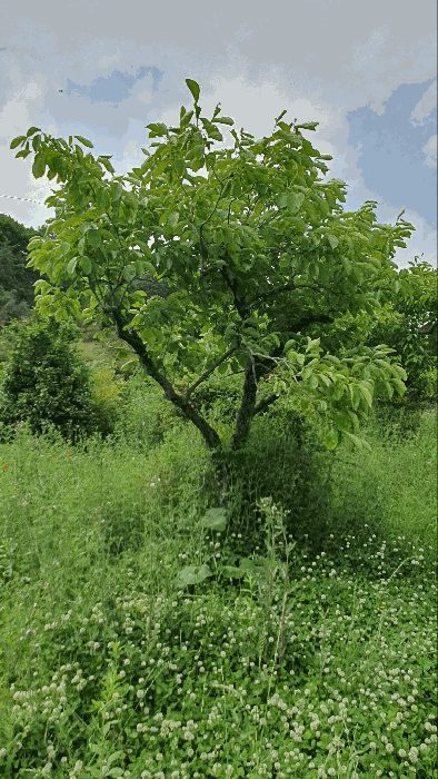 물건 사진 54