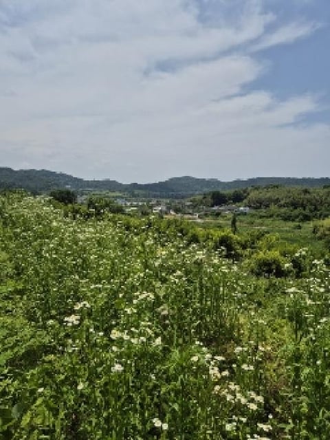 물건 사진 8