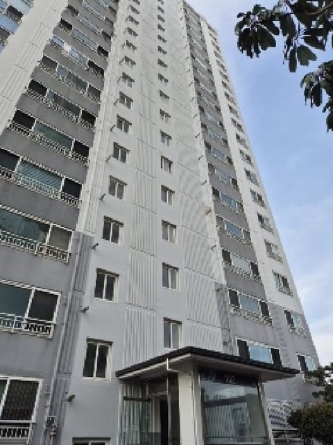 물건 사진 1