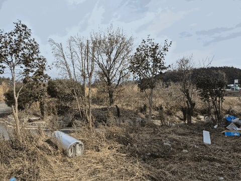 물건 사진 20