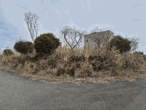 물건 사진 23
