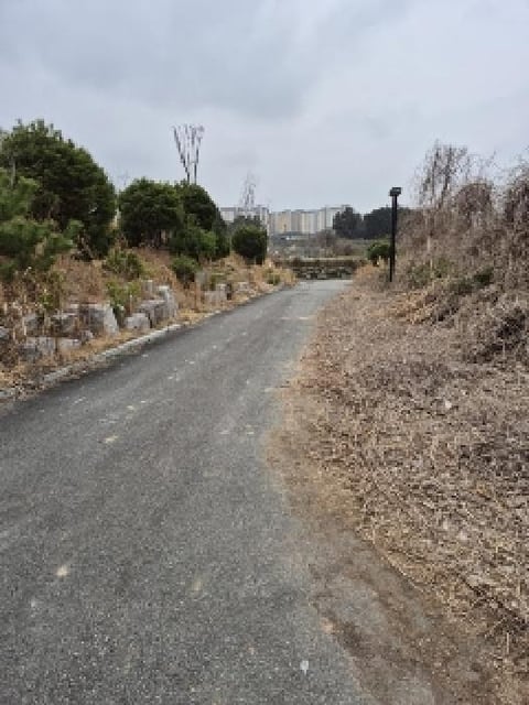 물건 사진 9
