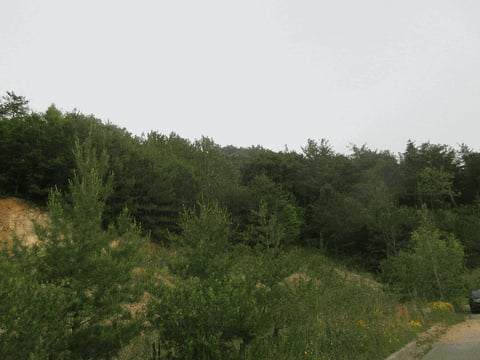 물건 사진 11