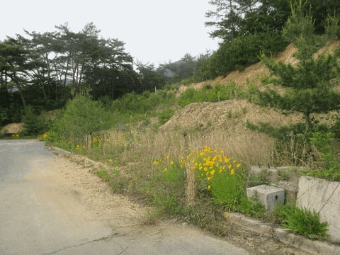 물건 사진 10