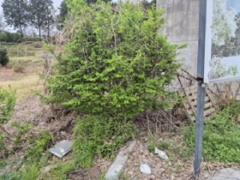 물건 사진 14