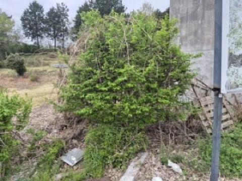 물건 사진 15