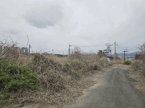 물건 사진 16