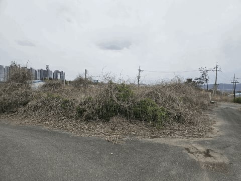 물건 사진 23
