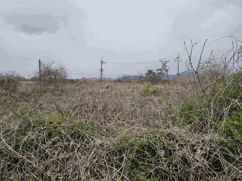 물건 사진 28