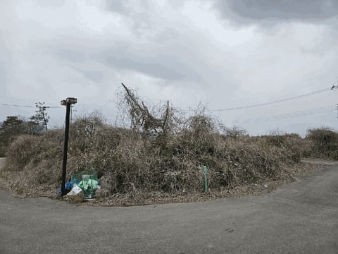 물건 사진 30