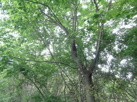 물건 사진 11