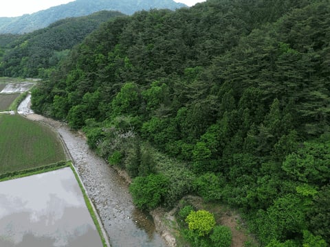 물건 사진 20