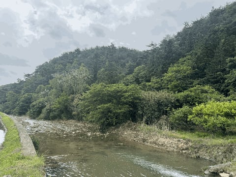 물건 사진 10
