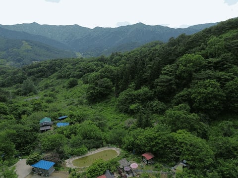 물건 사진 22