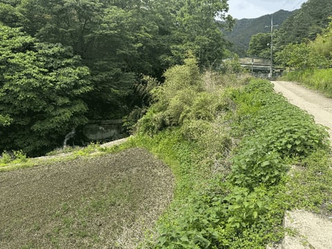 물건 사진 11
