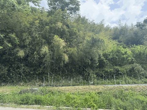 물건 사진 23