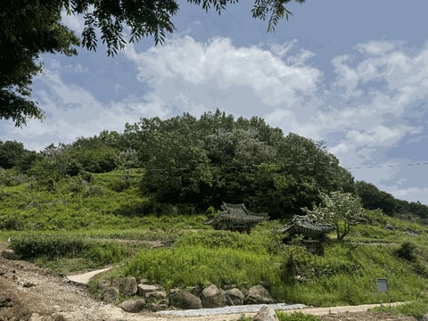 물건 사진 28