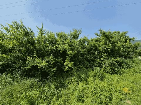 물건 사진 11