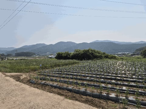 물건 사진 12