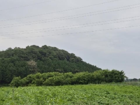 물건 사진 3