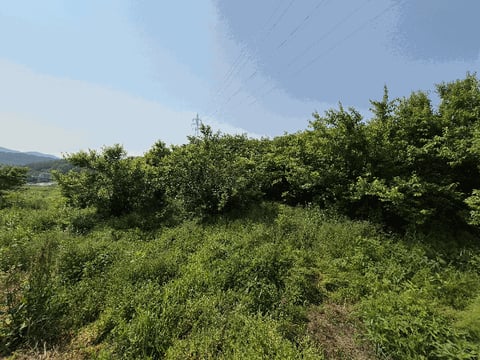 물건 사진 8