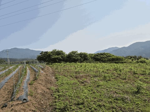 물건 사진 9