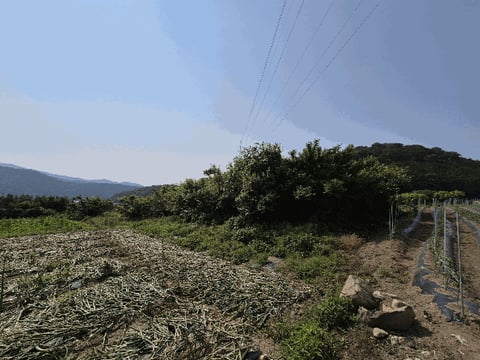 물건 사진 10