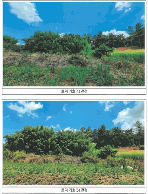 물건 사진 24