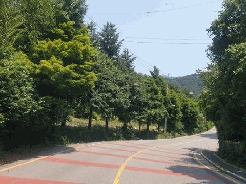 물건 사진 11