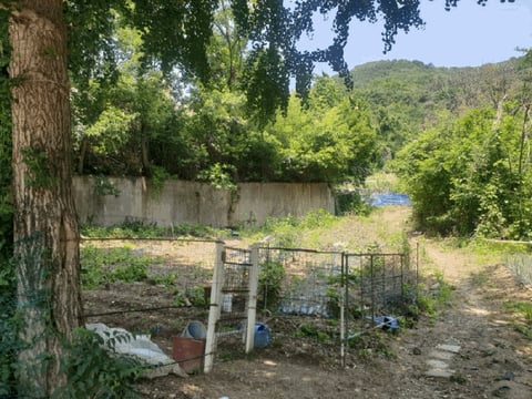 물건 사진 12