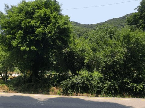 물건 사진 13