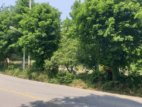 물건 사진 14