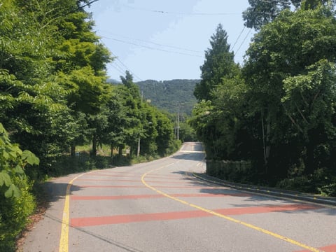 물건 사진 15