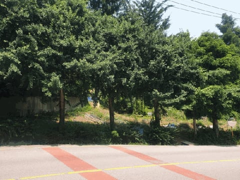 물건 사진 8