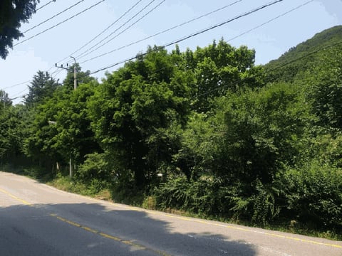 물건 사진 10
