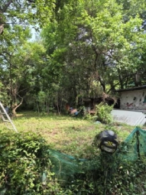 물건 사진 3