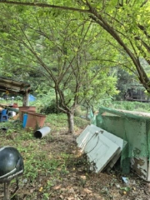 물건 사진 5