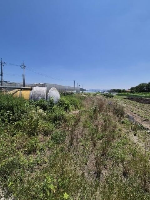 물건 사진 1