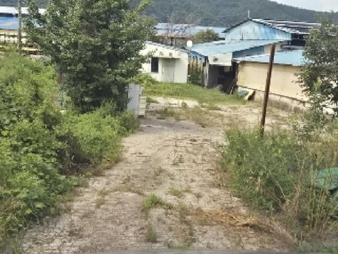 물건 사진 42
