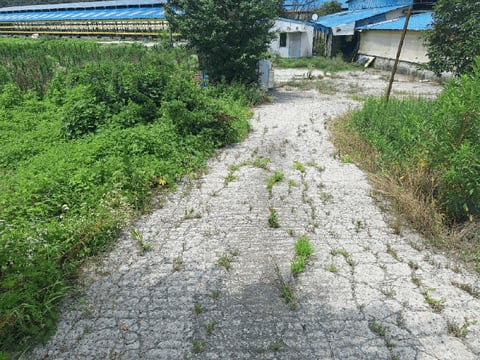 물건 사진 49